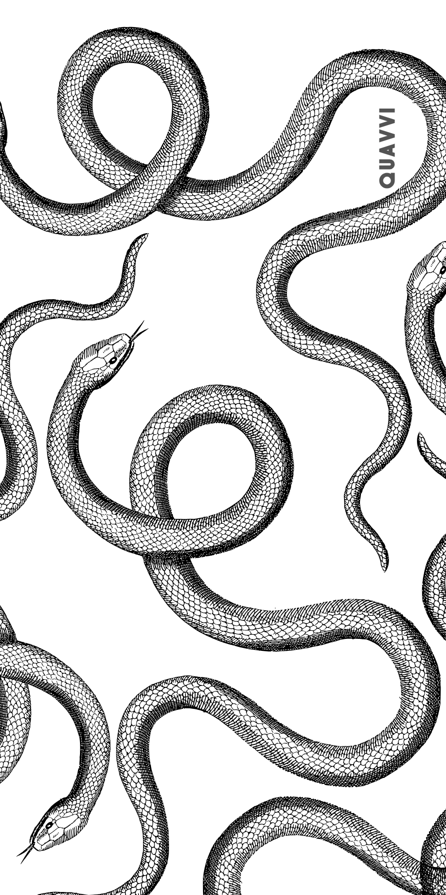 Gray rectangular protrusion.